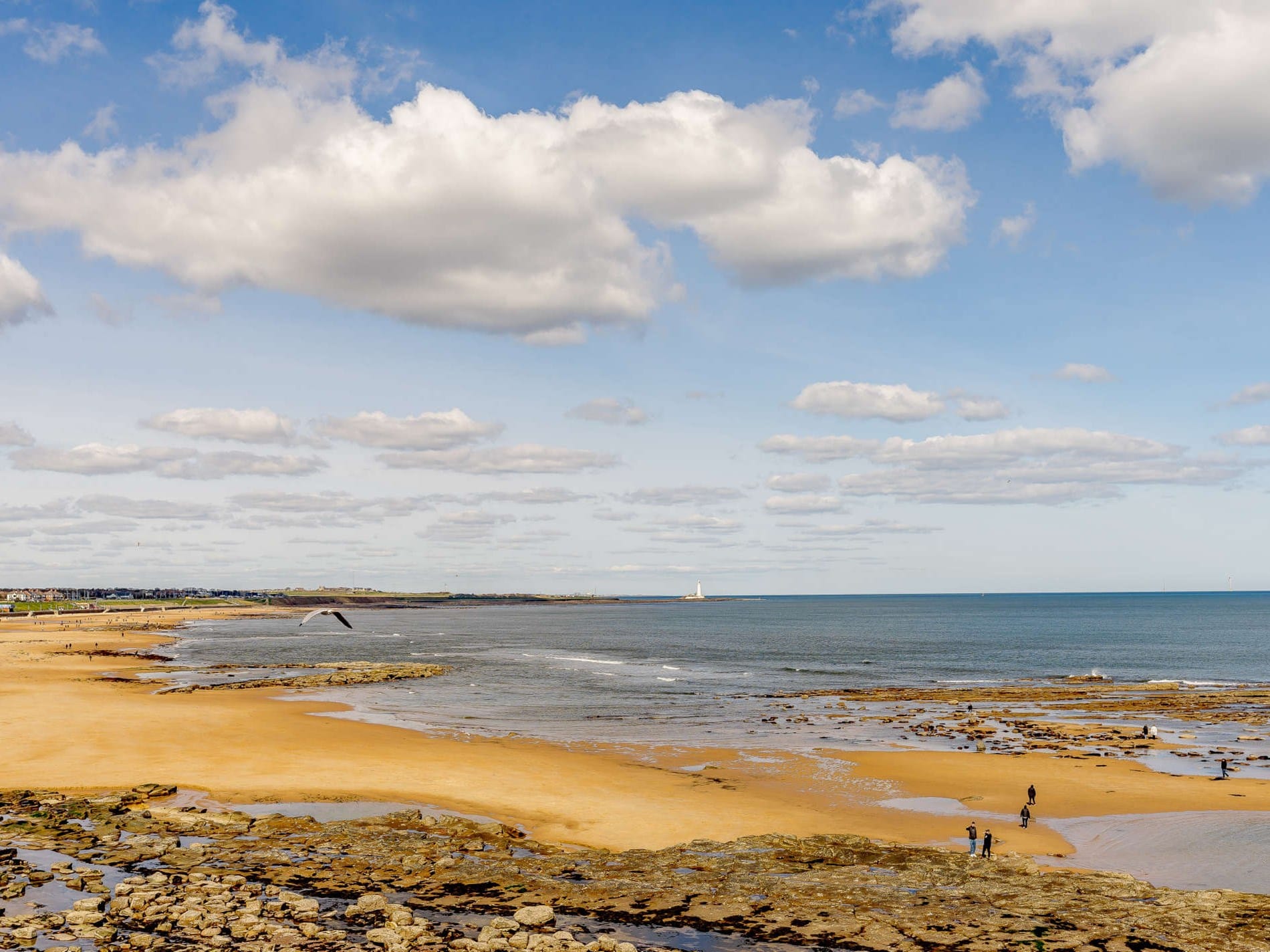 Beach Holiday Cottages In Northumberland Coastal Self Catering 