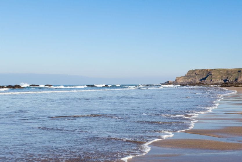 Widemouth Bay dog friendly beach in Cornwall