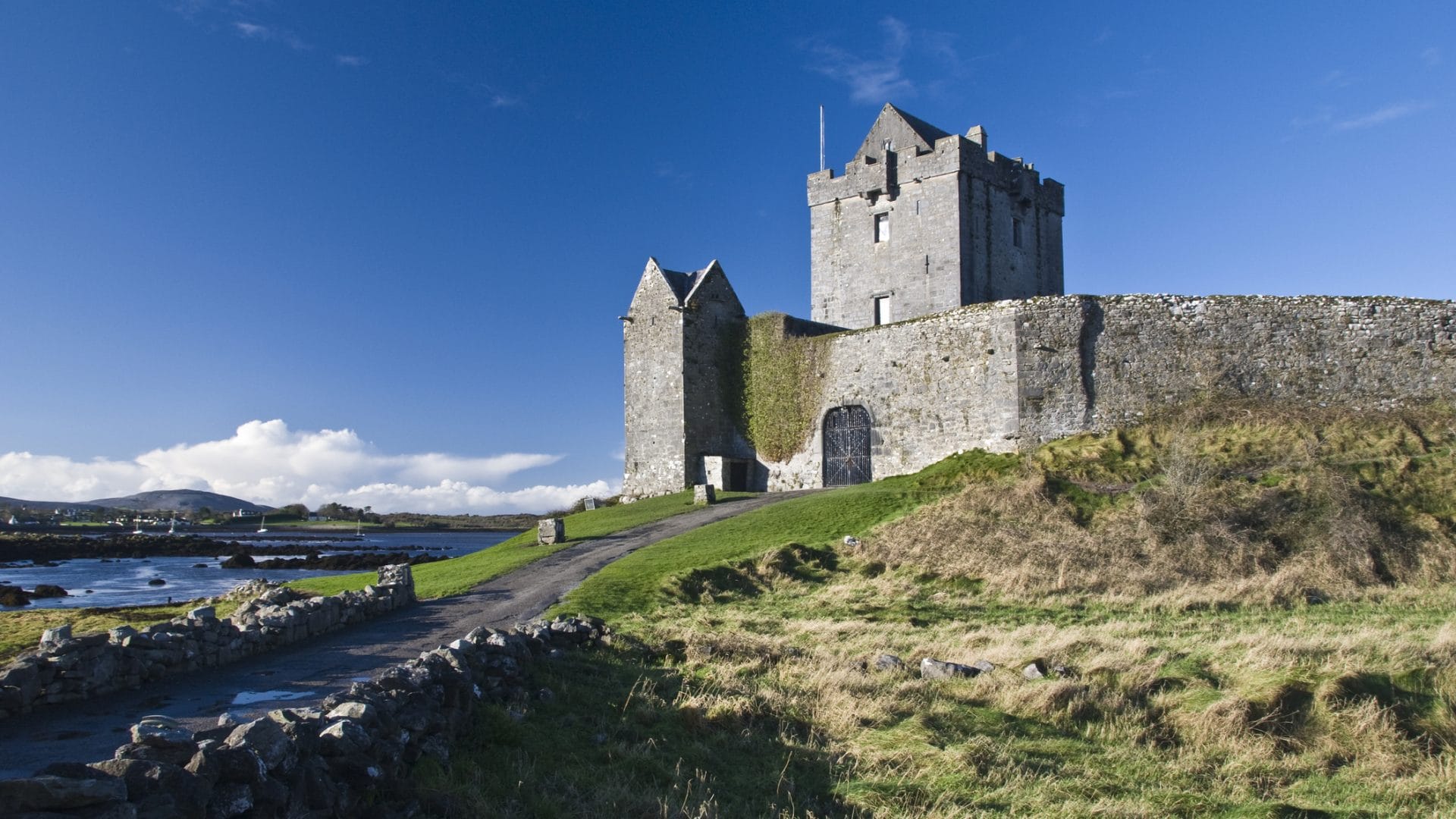 Search for County Galway cottages by the sea