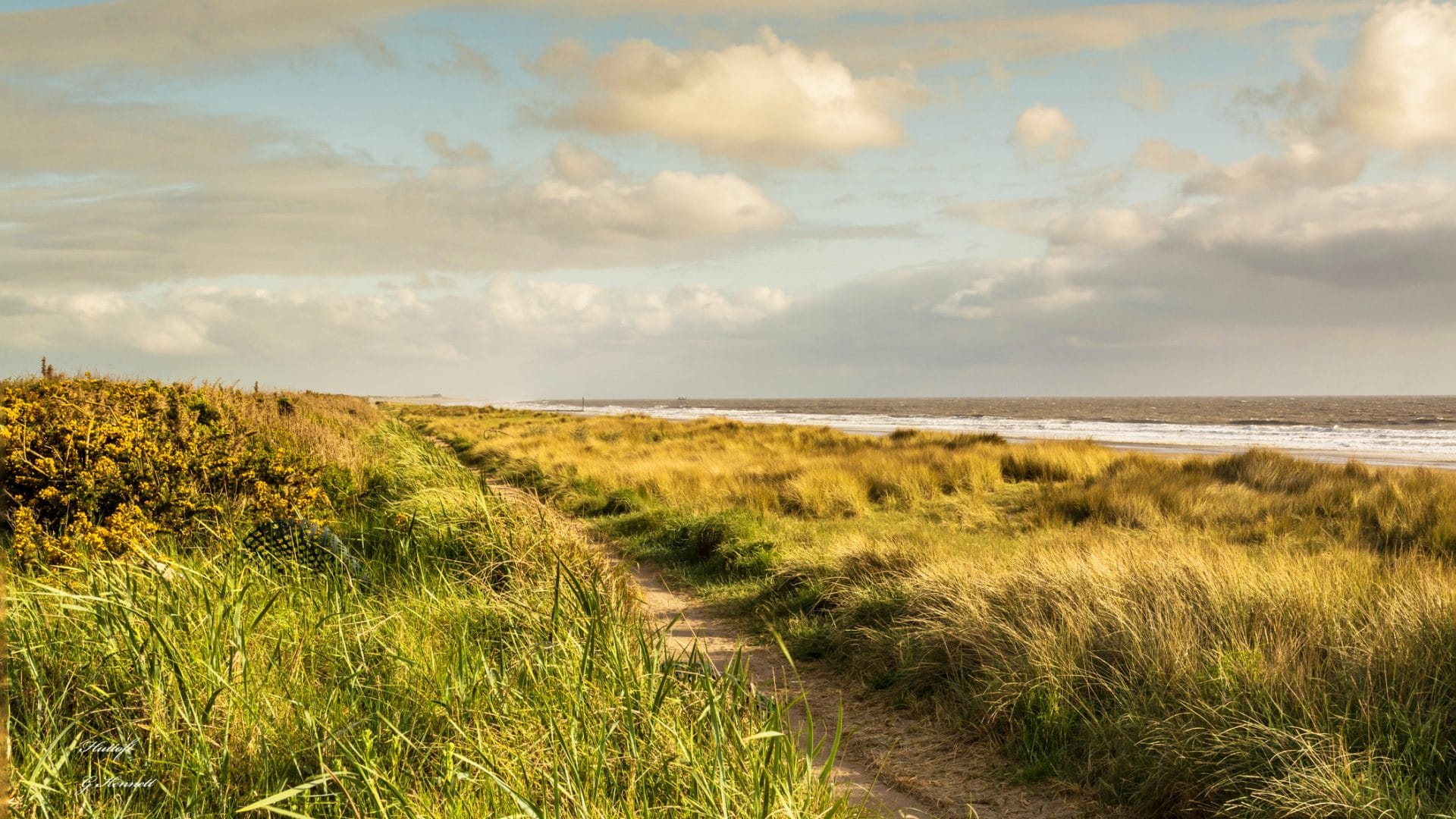 Search for Sandilands cottages by the sea