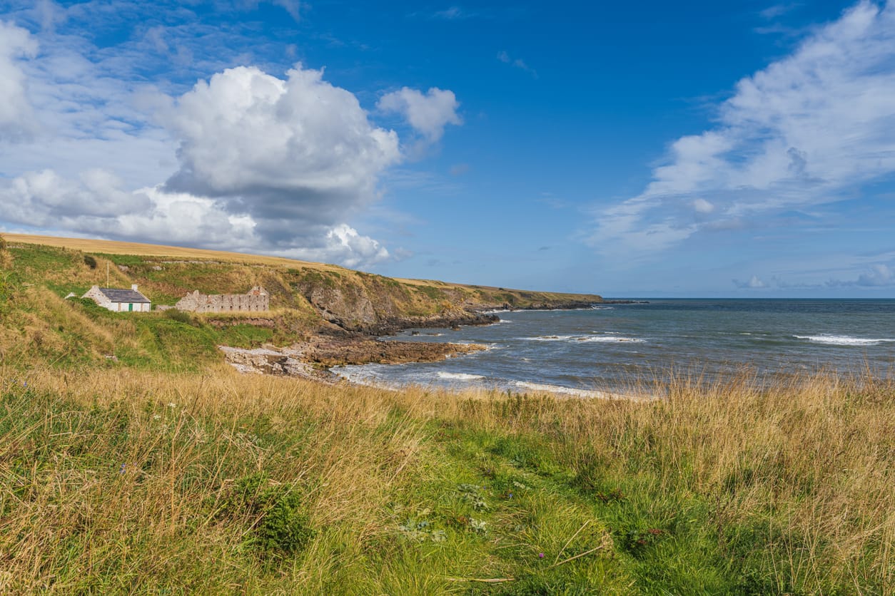Search for Angus cottages by the sea