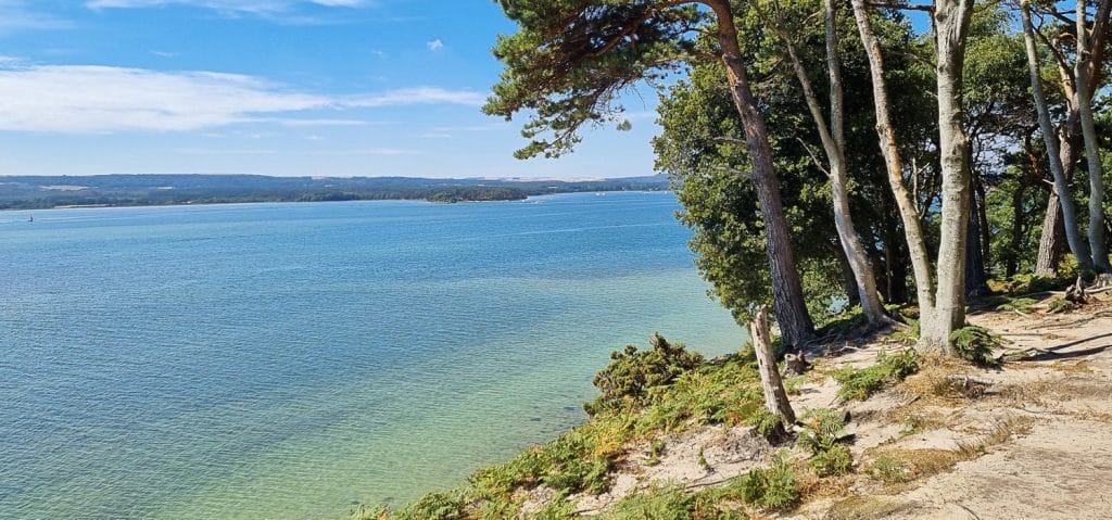 Turquoise waters of Brownsea Island