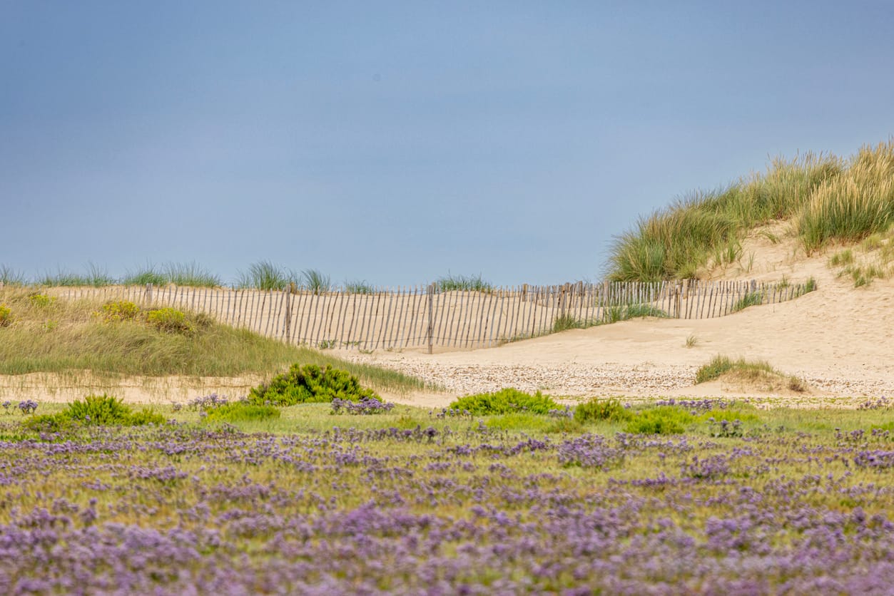 Find Burnham Market cottages by the sea