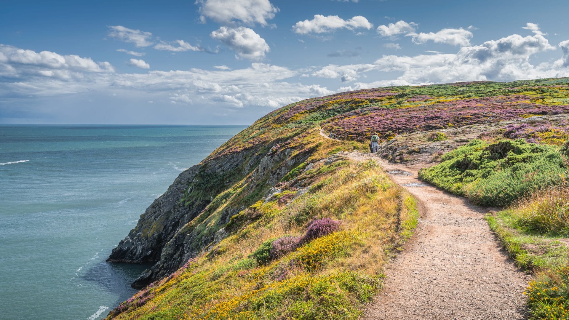 Find East Coast Ireland cottages by the sea