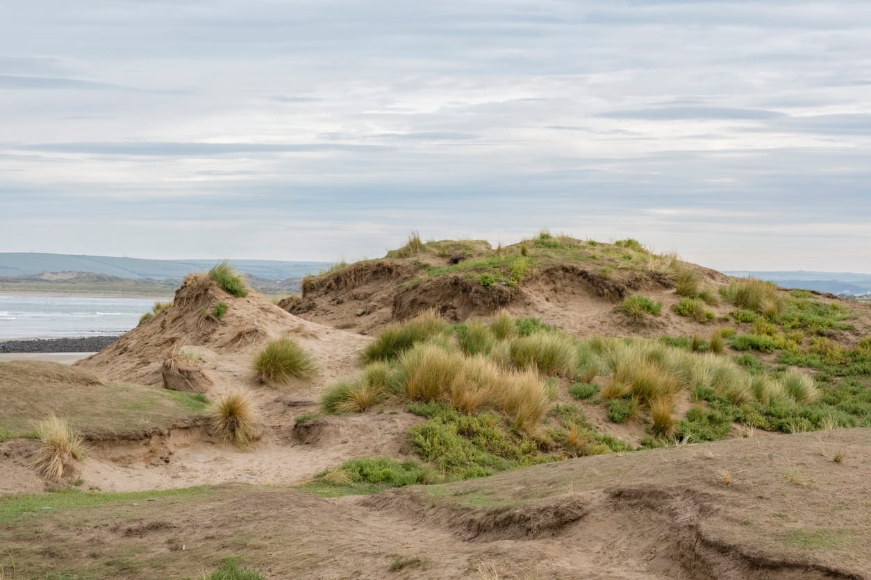 Search for Northam cottages by the sea