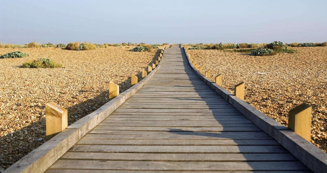Search for Romney Marsh cottages by the sea