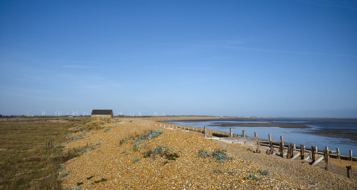 Find Rye cottages by the sea