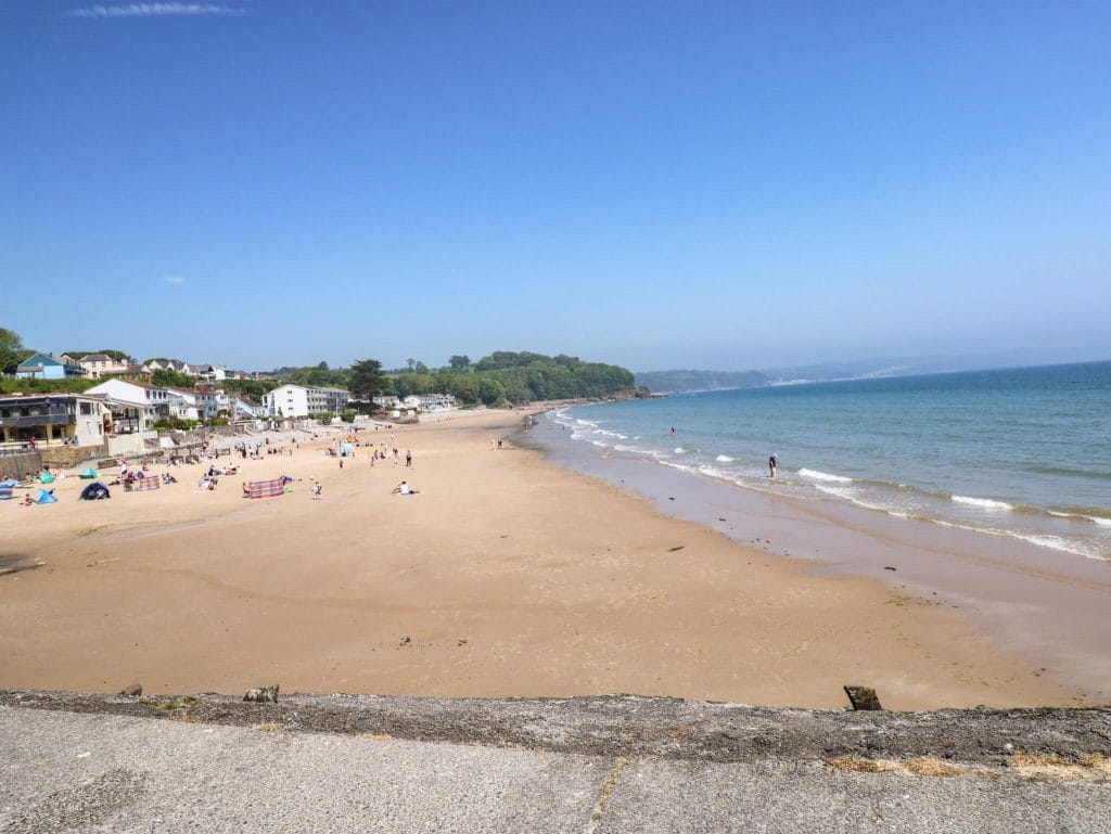 Pembrokeshire dog friendly beach