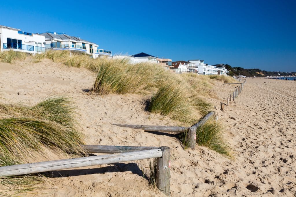 Sandbanks dog friendly beach