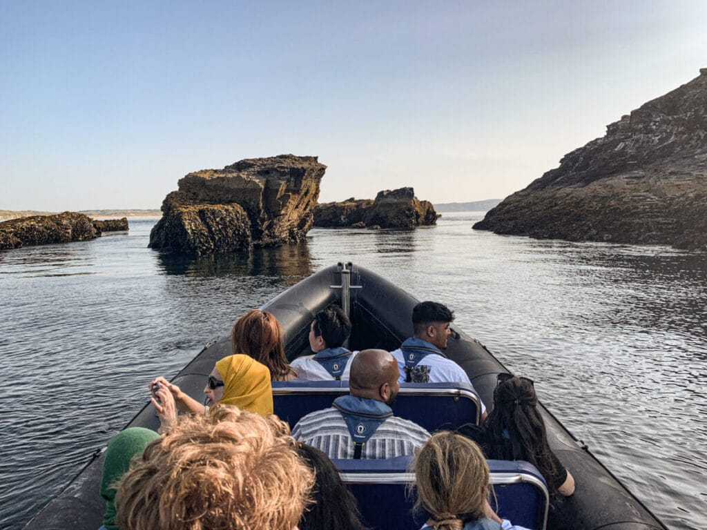 St Ives sea safari