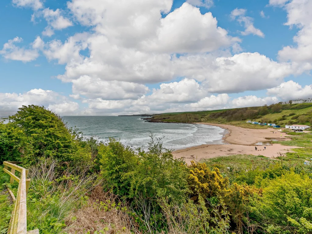 Dog friendly Coldingham beach in Scotland.