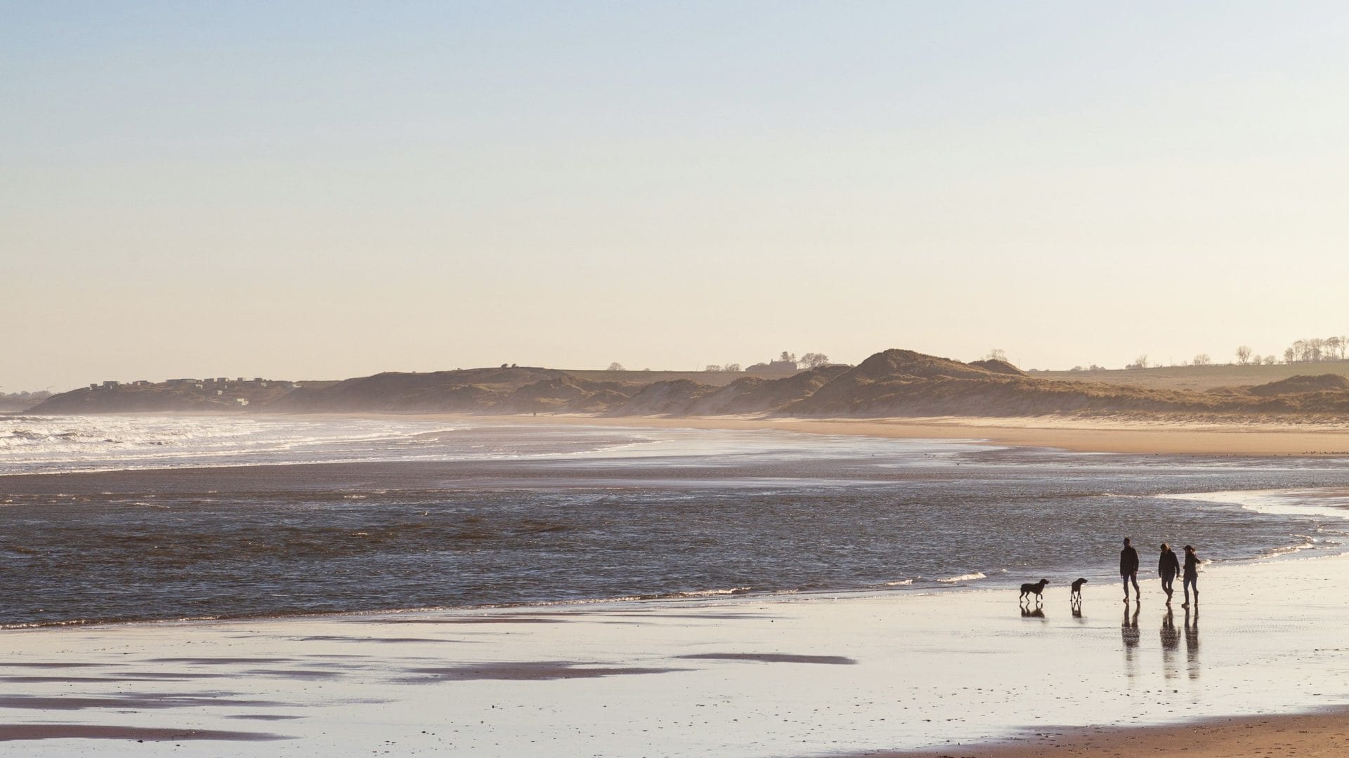Walking with dogs on a UK beach in winter.