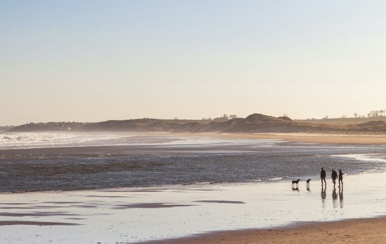 Walking with dogs on a UK beach in winter.