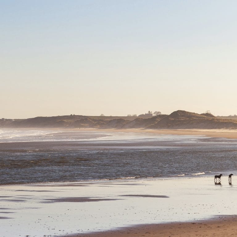 Walking with dogs on a UK beach in winter.