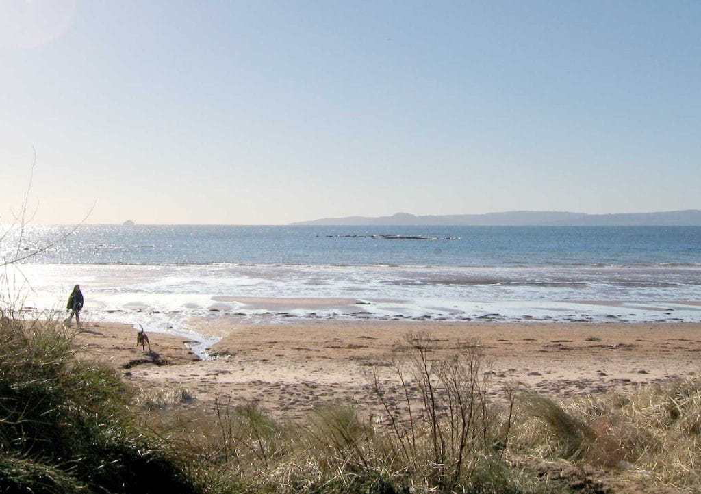 Dog walker on Seamill Beach, Ayrshire