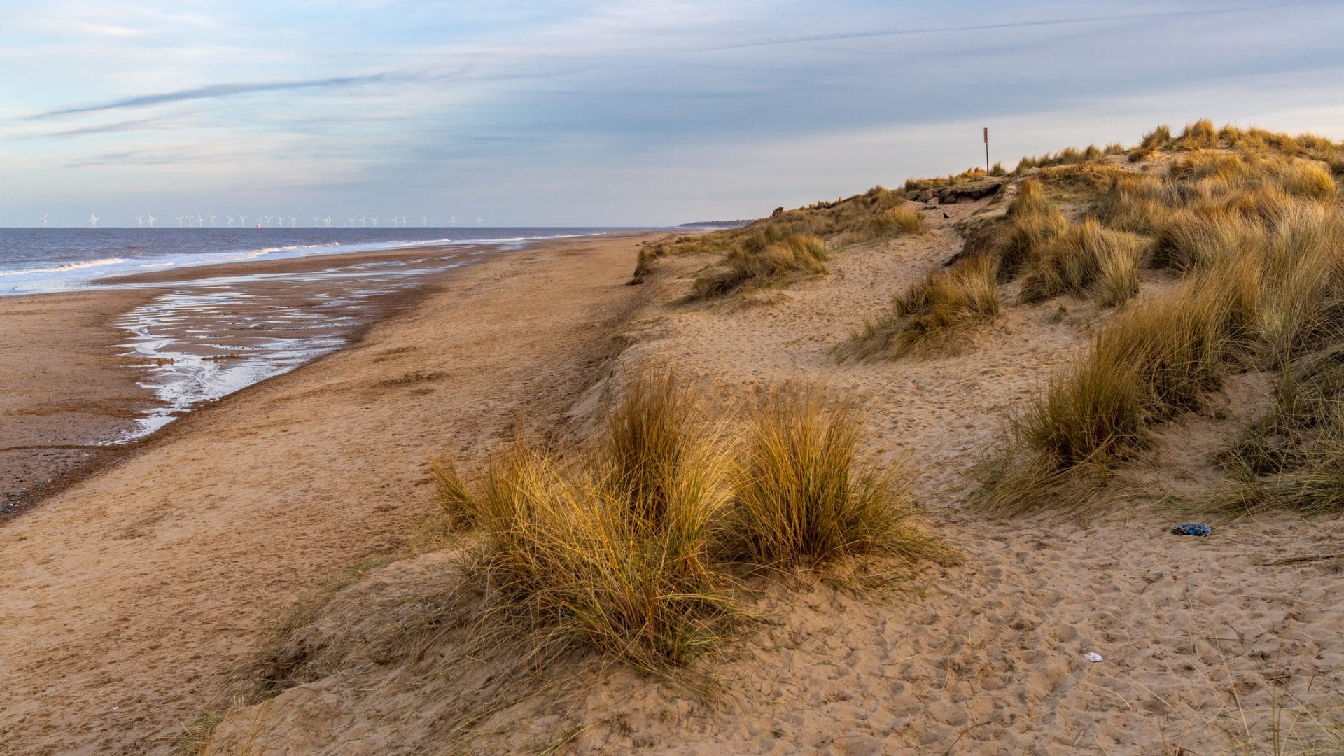 Dog friendly beach and dunes in Norfolk