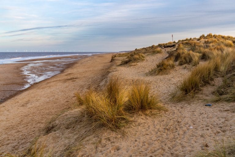 Dog friendly beach and dunes in Norfolk