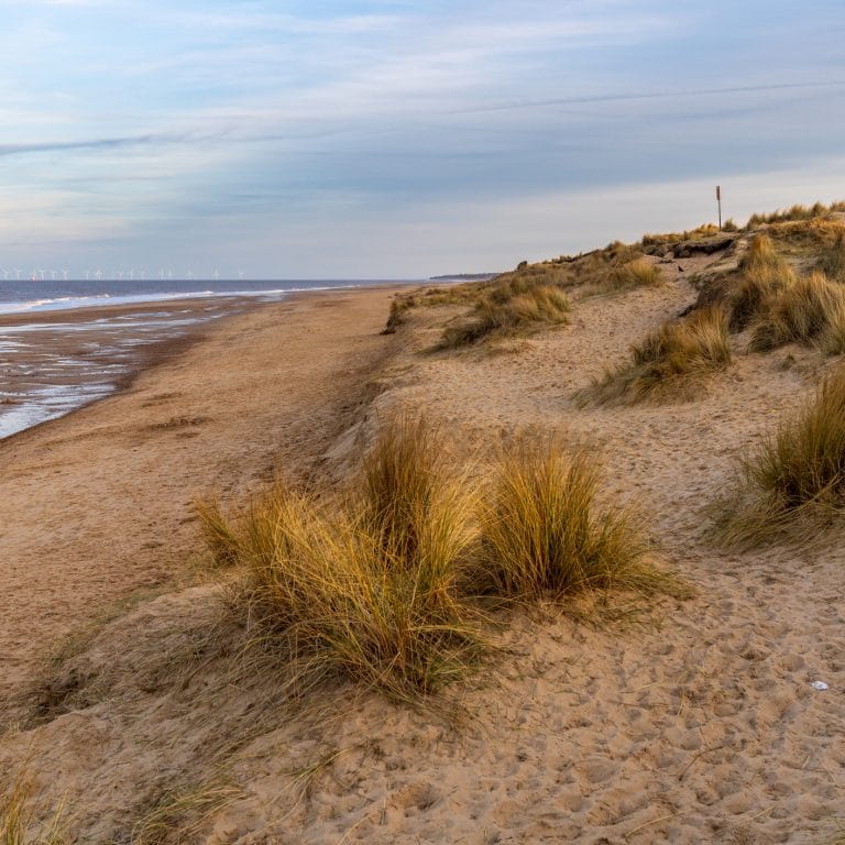 Dog friendly beach and dunes in Norfolk
