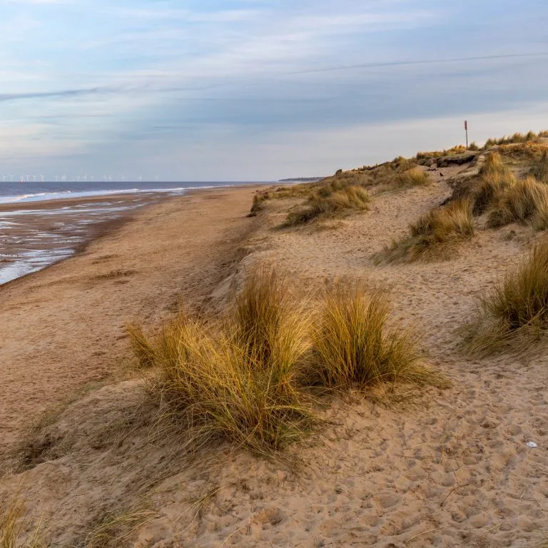 Dog friendly beach and dunes in Norfolk