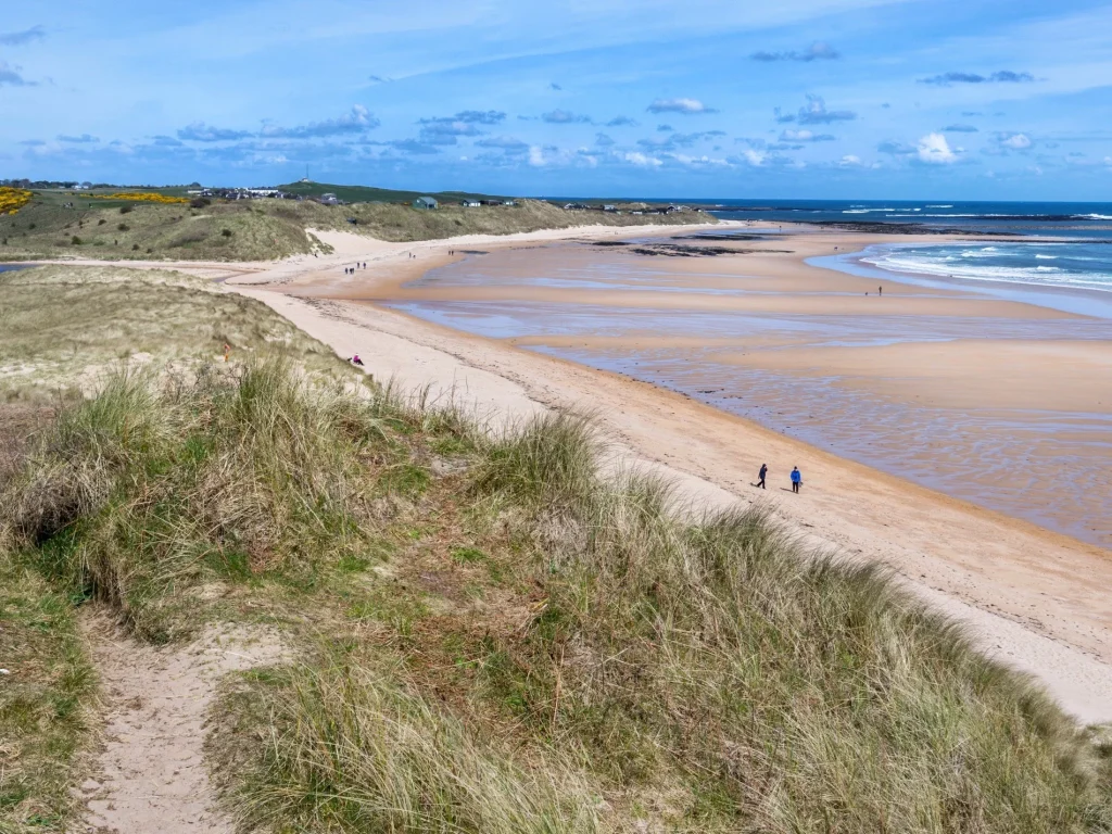The dog friendly long sandy beach and dunes at Embleton
