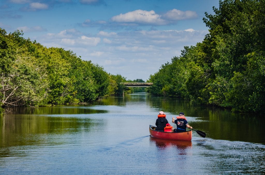 Two people kayaking the dart