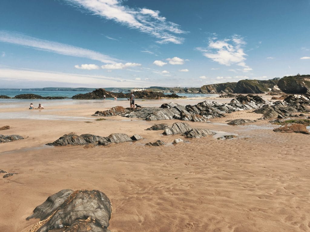 Dog walking on Newquay beach