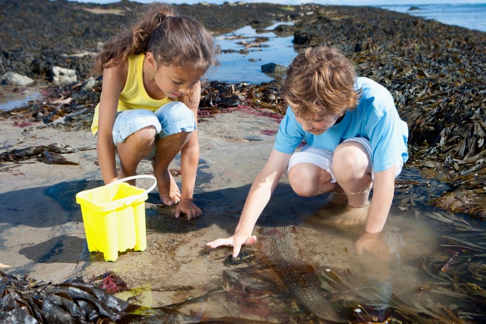 Kids rock pooling in Cornwall