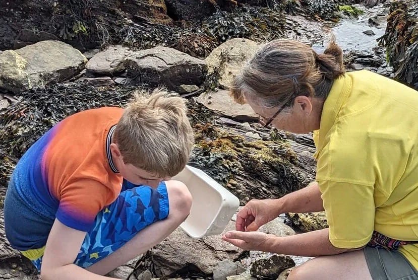 Mother and son rock pooling in Devon