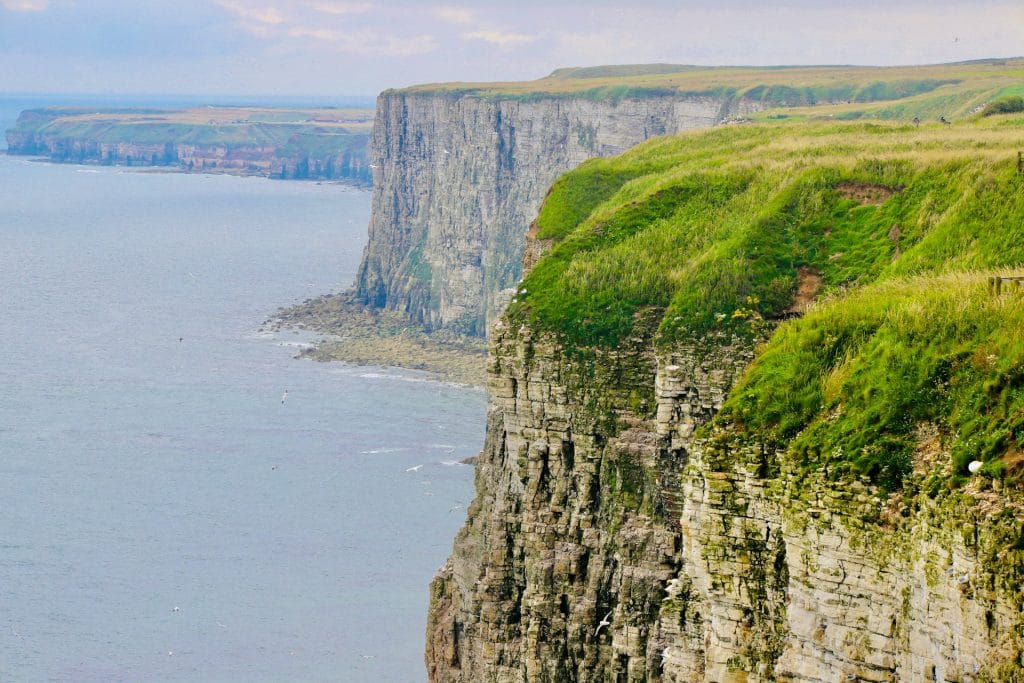 Bempton Cliffs Yorkshire