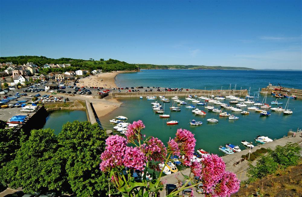 Aerial view of the beach and harbour at Sundersfoot
