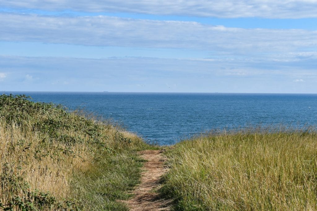 Yorkshire Coastal Path