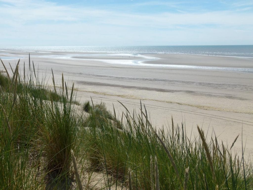 Looking out to Rye Bay from the sandy beach