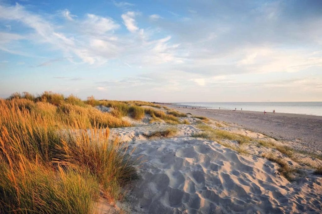 Looking across the sand dunes to the beach at West Wittering