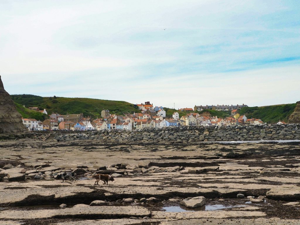 Two dogs running along the beach at Robin Hood's Bay.