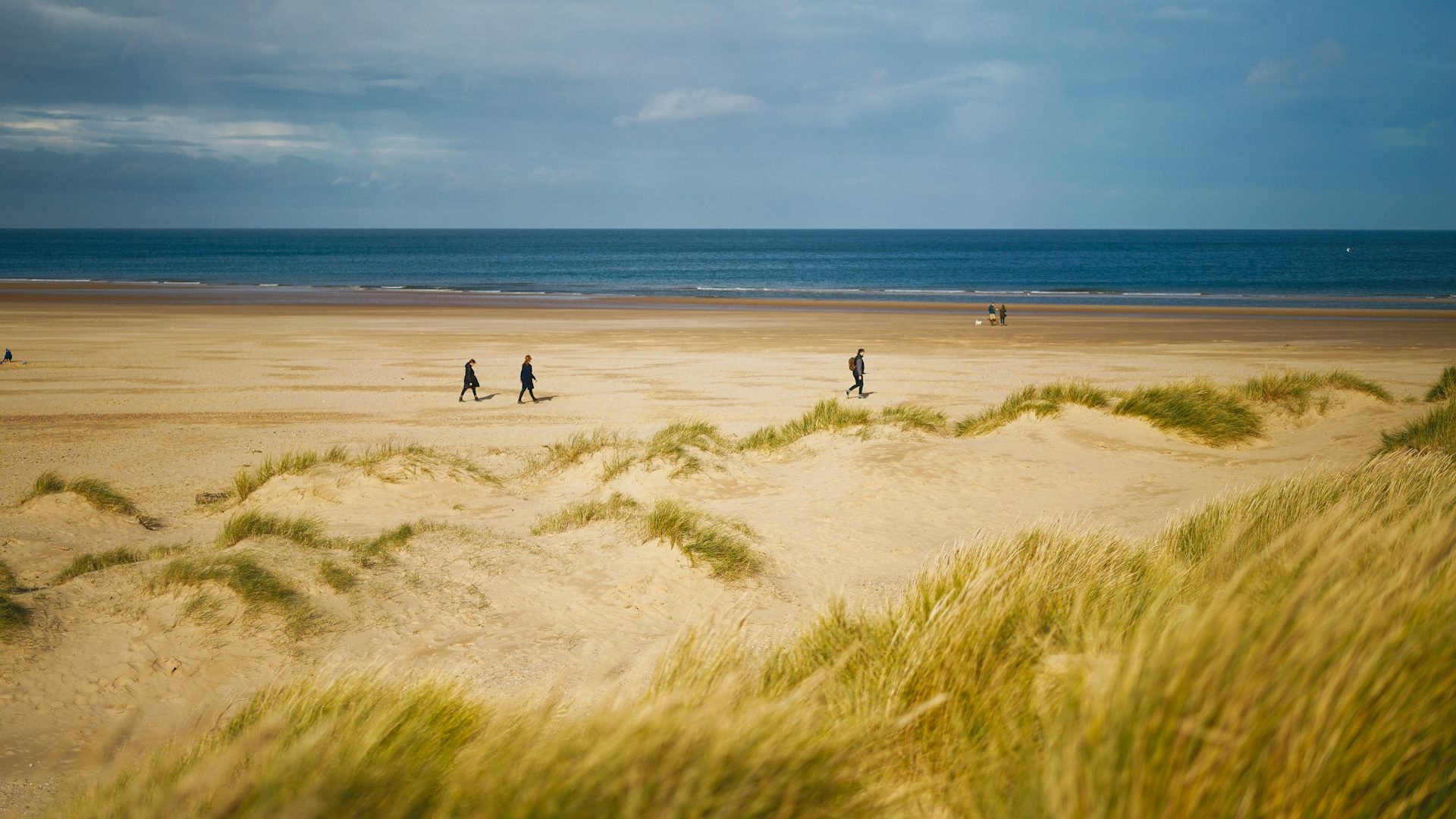View of Holkham Beach from the grassy dunes with people walking on the sand.