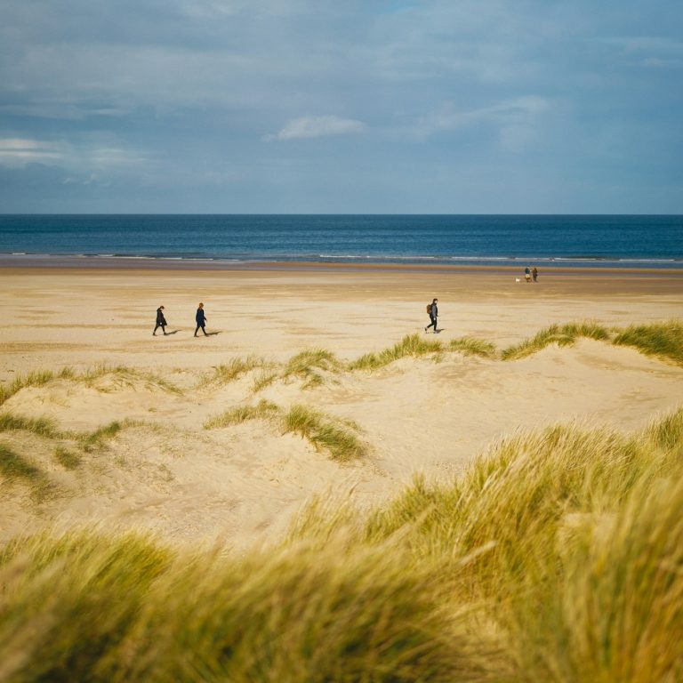 View of Holkham Beach from the grassy dunes with people walking on the sand.