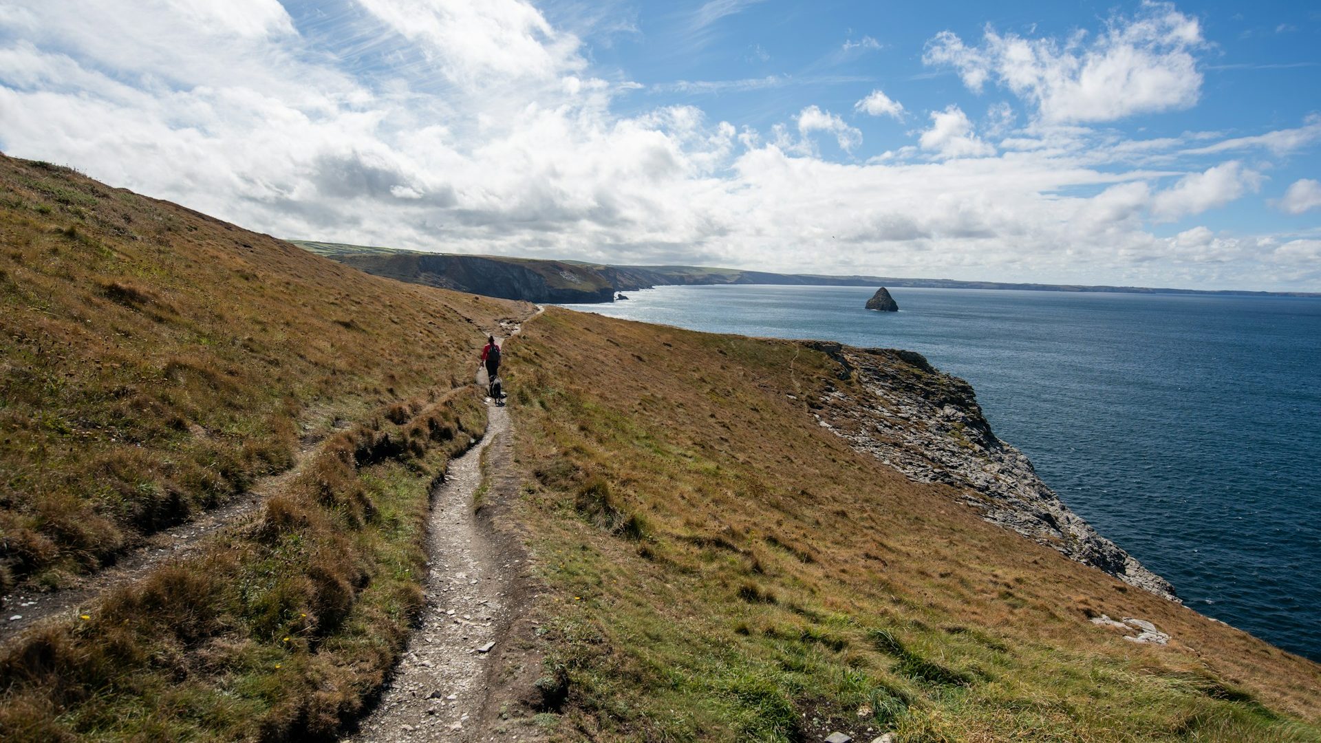 Section of South West Coast Path in Tintagel, Cornwall, UK.