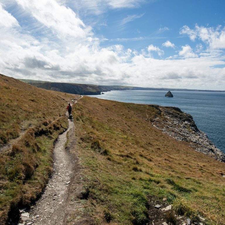 Section of South West Coast Path in Tintagel, Cornwall, UK.