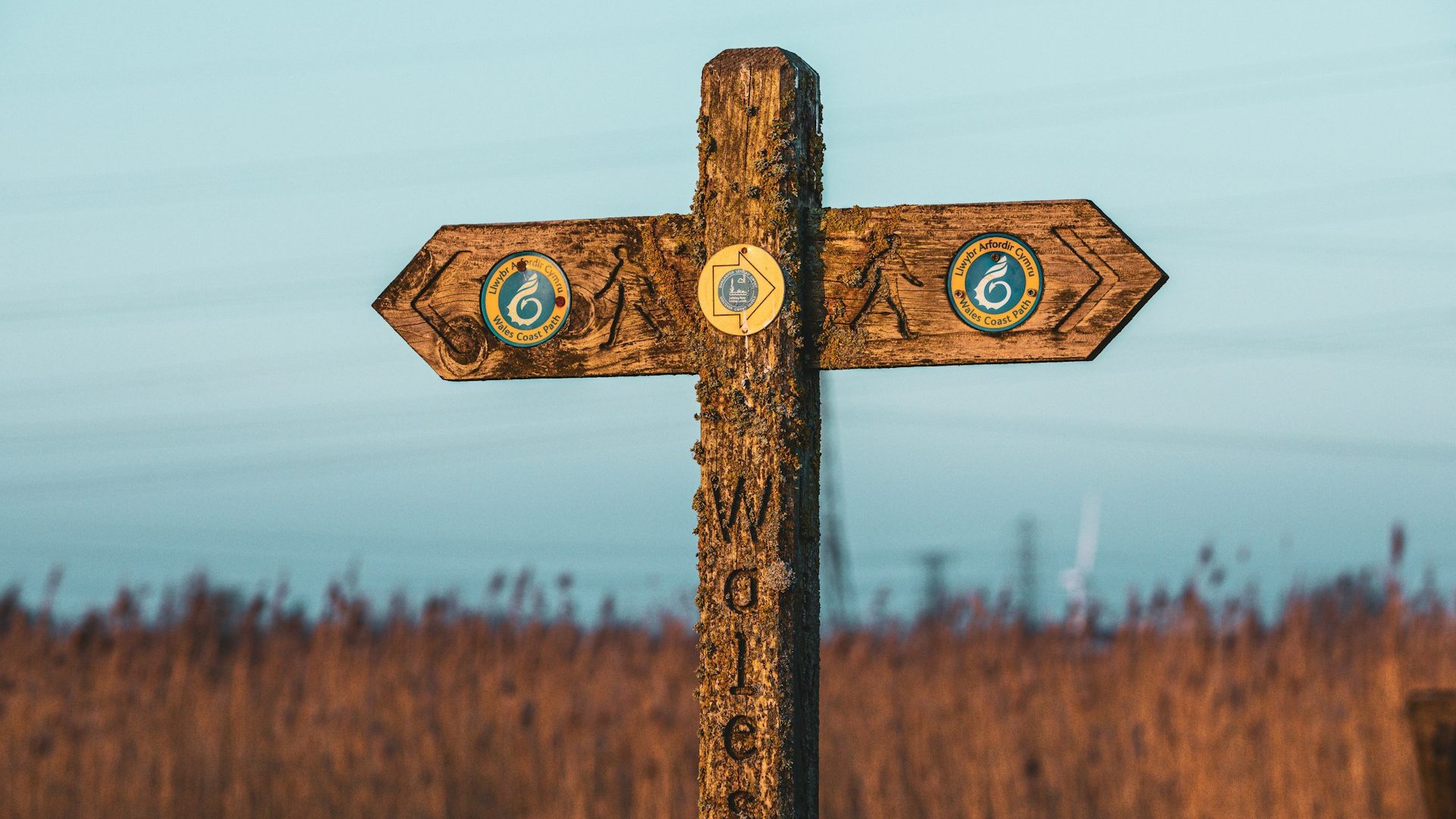 Signage for the Wales Coast Path with the sea in the background.