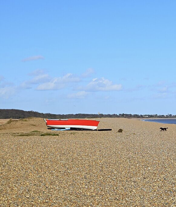 Small black dog by a boat on the shingle beach at Dunwich, Suffolk.